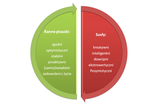 ranne ptaszki i susły mały